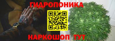 apvp Братск