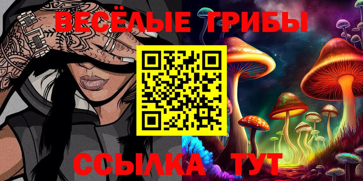 Галлюциногенные грибы ЛСД  Вход с VPN  Галлюциногенные грибы Cubensis  Новочеркасск 